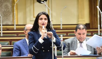 النائبة إيرين سعيد بعد إحالة قانون الإيجار القديم للجان المختصة: سنراعي حقوق الجميع