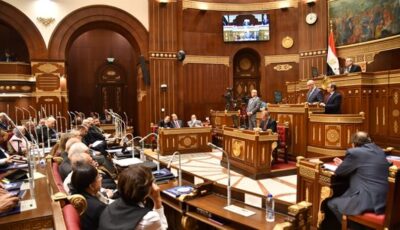 مطالبات بمجلس الشيوخ بإصدار قانون خاص للأمن السيبراني