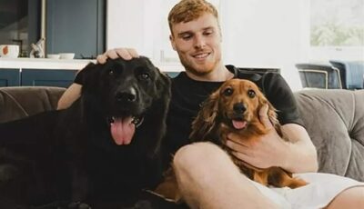 الكلاب خط الدفاع الأول عن نجوم الدوري الانجليزي