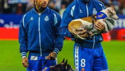 مبادرة لافتة من إسبانيول: اللاعبون الى الملعب برفقة كلاب للتبنّي